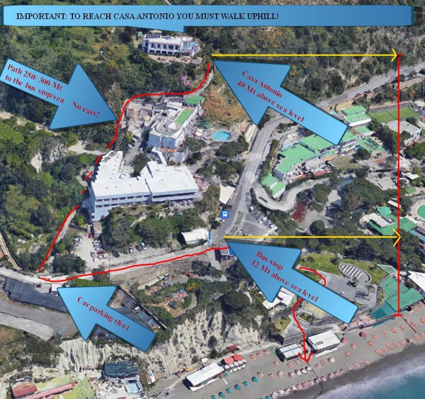 Casa Antonio Bed and Breakfast Barano dʼIschia Εξωτερικό φωτογραφία