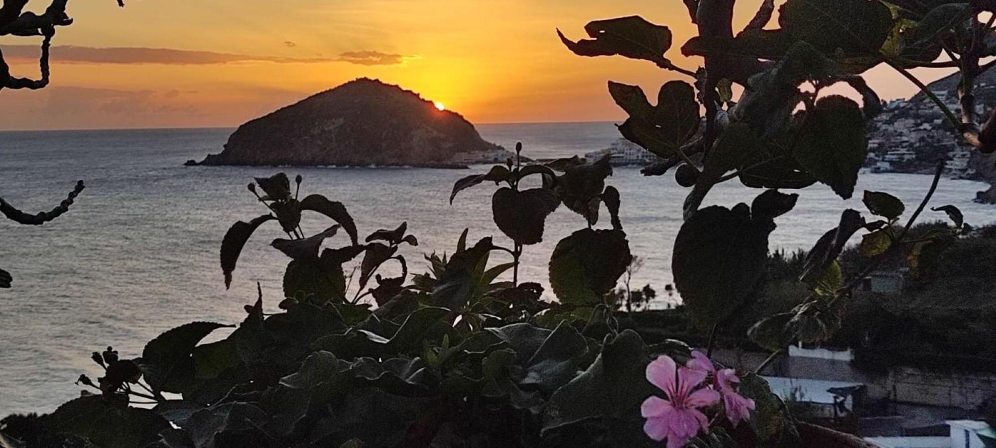 Casa Antonio Bed and Breakfast Barano dʼIschia Εξωτερικό φωτογραφία