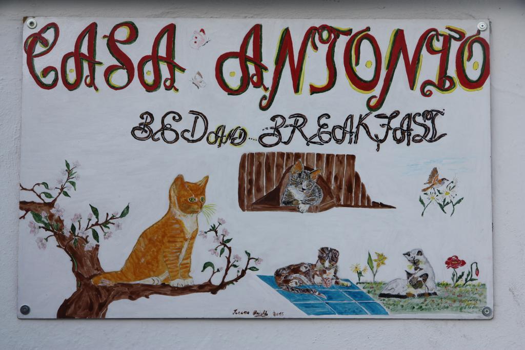 Casa Antonio Bed and Breakfast Barano dʼIschia Εξωτερικό φωτογραφία