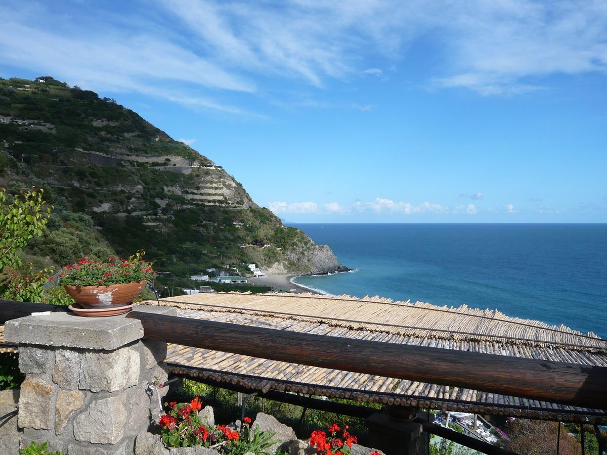 Casa Antonio Bed and Breakfast Barano dʼIschia Εξωτερικό φωτογραφία