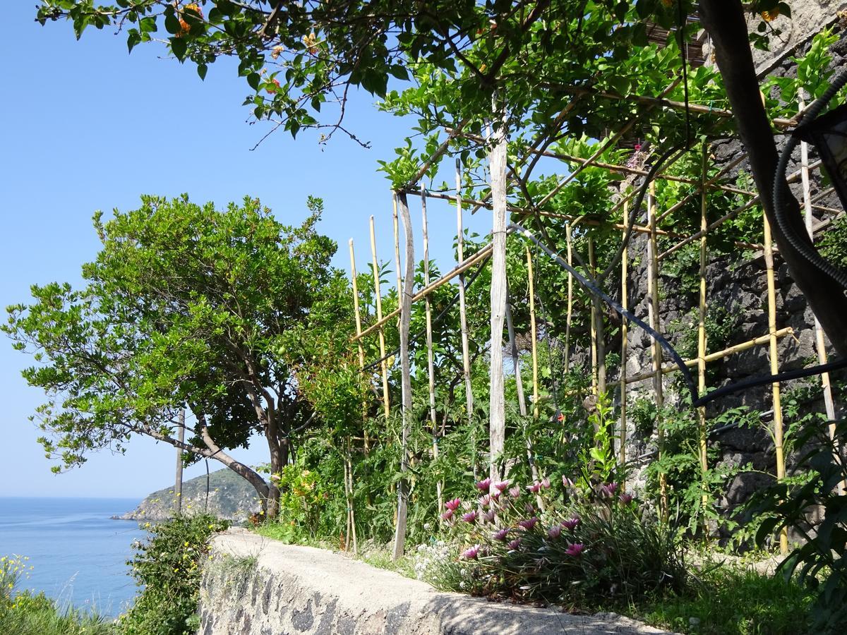 Casa Antonio Bed and Breakfast Barano dʼIschia Εξωτερικό φωτογραφία