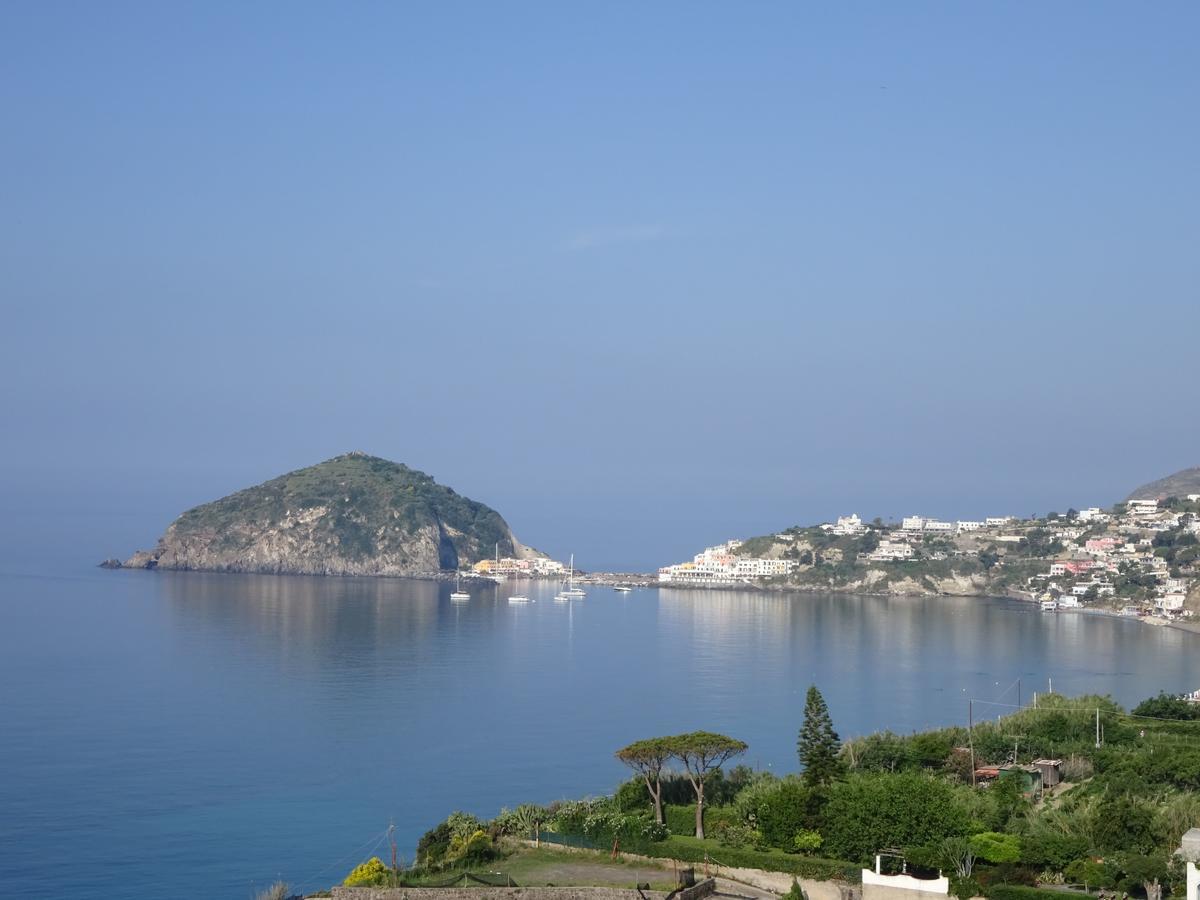 Casa Antonio Bed and Breakfast Barano dʼIschia Εξωτερικό φωτογραφία